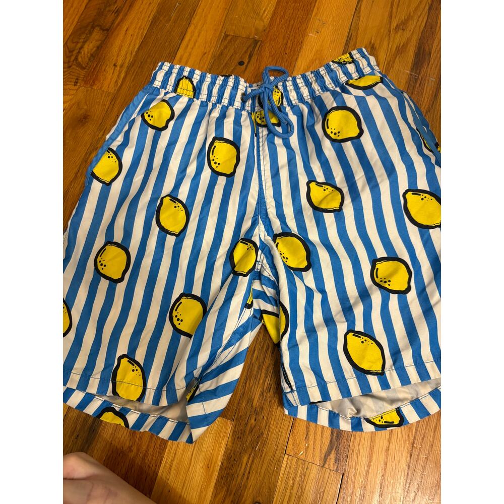 Mr. Swim Lemons Swim Trunks Men
